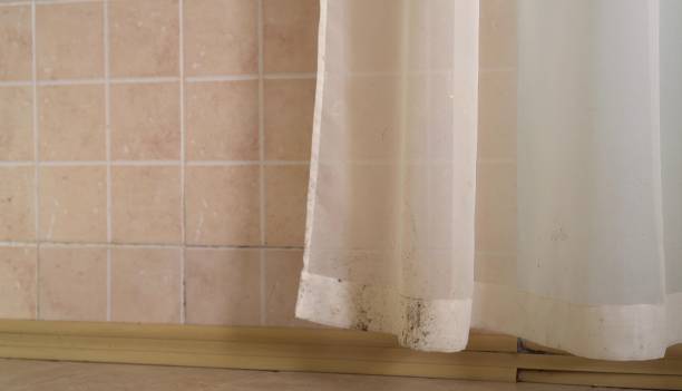 Best Emergency Mold Remediation  in Winterset, IA