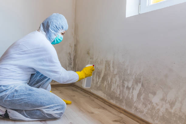 Best Airborne Mold Testing  in Winterset, IA