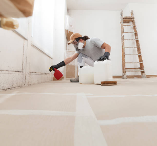 Best Mold Odor Removal Services  in Winterset, IA